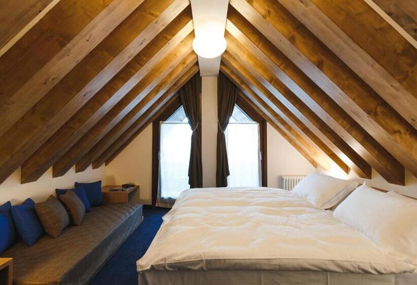 شقة سوبريور غرفة واحدة, Residence Langes