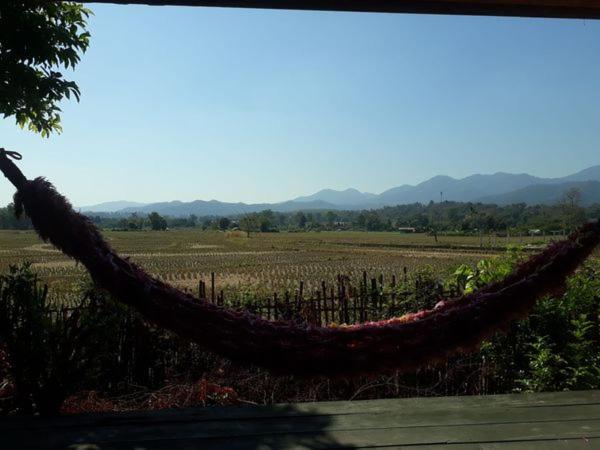 Бунгало Стандарт, Bueng Pai Farm บึงปายฟาร์ม