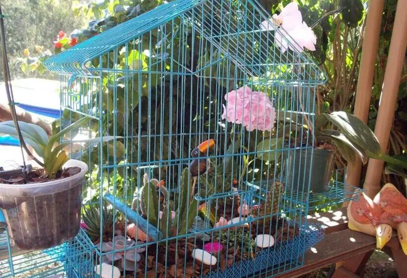 マウンテンビュースタンダードルーム, Pousada Villa Dos Quilombolas