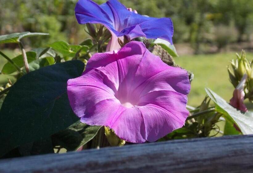 Standardzimmer Bergblick, Pousada Villa Dos Quilombolas