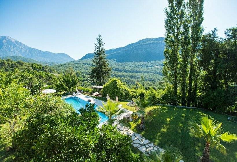 Люкс Deluxe Вид на Горы, Lycia Nature House