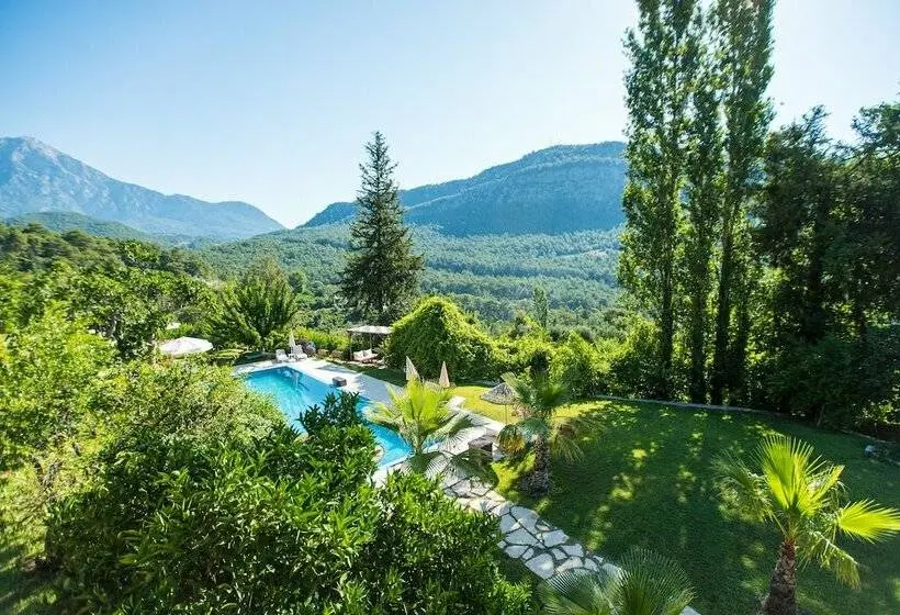 山の見えるスイートデラックスルーム, Lycia Nature House