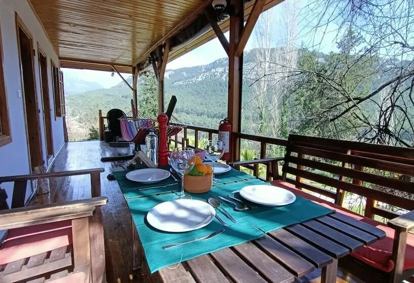 山の見えるスイートデラックスルーム, Lycia Nature House