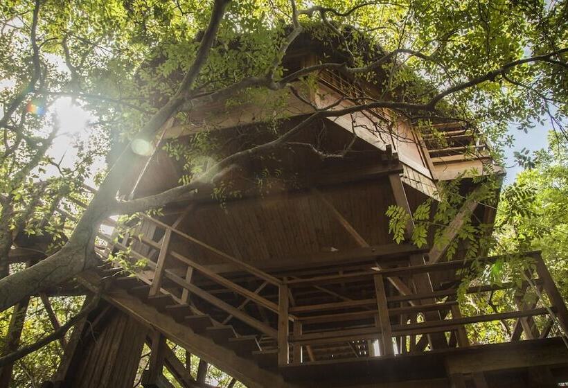 בקתה סטנדרטית, Las Islas