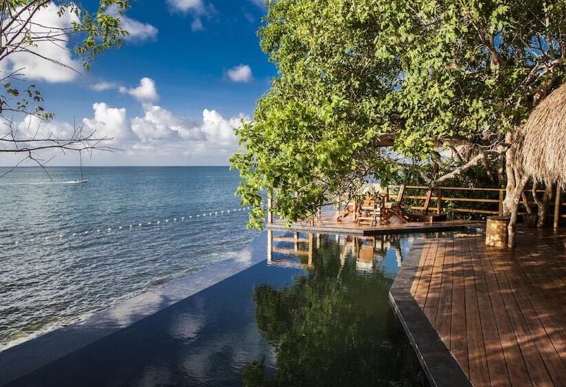 בקתה סטנדרטית, Las Islas