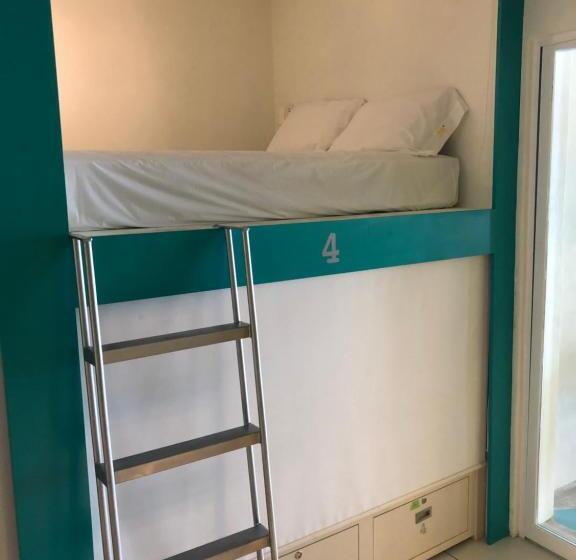 共用房间的床, Hostel Tropico 20º Oceanfront