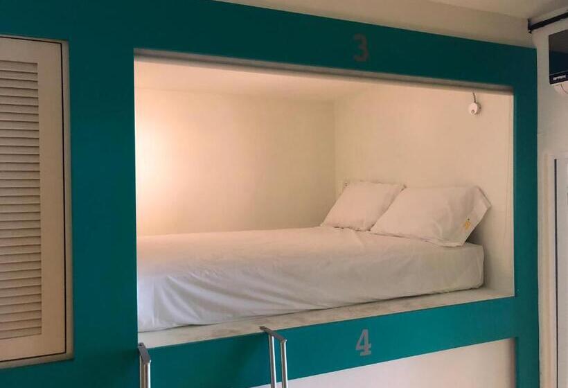 共用房间的床, Hostel Tropico 20º Oceanfront