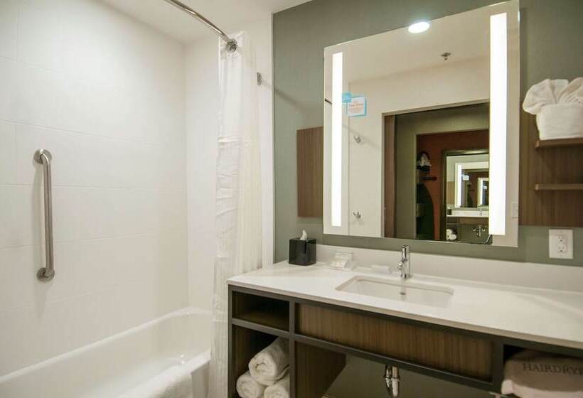 غرفه قياسيه سريرين مزدوجين, Hilton Garden Inn Jackson/clinton