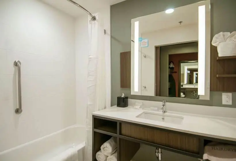 Standard-huone 2 Parivuodetta, Hilton Garden Inn Jackson/clinton