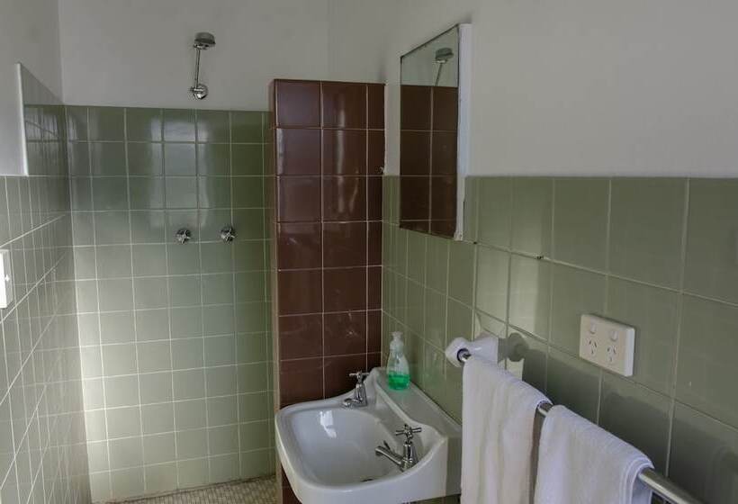 스탠다드 싱글 룸, Figtree