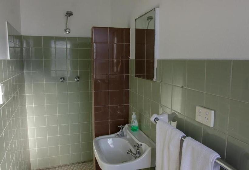 스탠다드 싱글 룸, Figtree