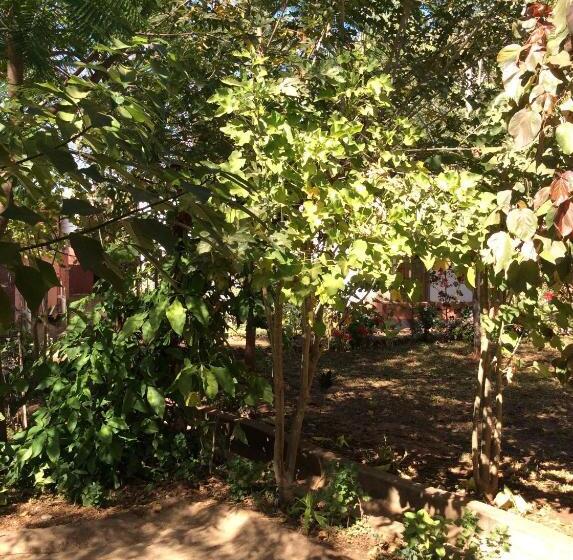 اتاق اکونومی, Tabonina Guesthouse