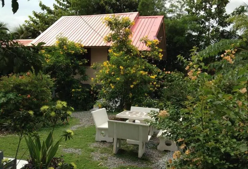 スーペリアーバンガロー, Areeya Resort
