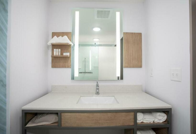 سوئیت با تخت بزرگ, Hilton Garden Inn Omaha Aksarben Village