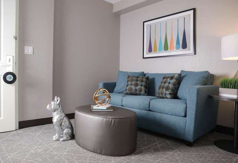 اتاق استاندارد, Hilton Garden Inn Omaha Aksarben Village