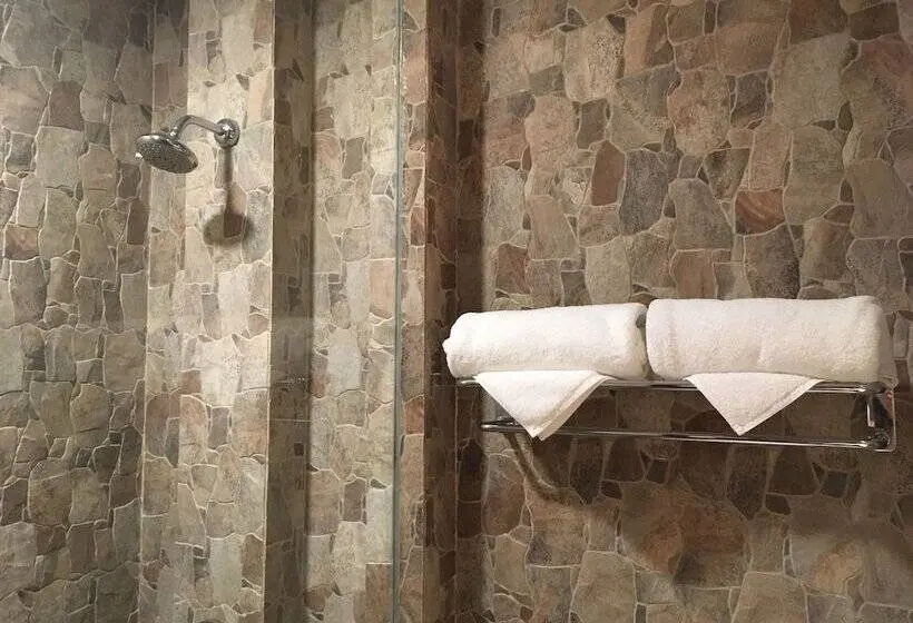 Premium Yhden Hengen Huone, Baobab Safari Resort
