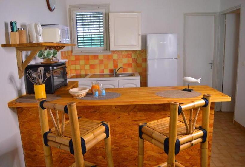 بانگلوی استاندارد با چشم‌انداز دریا, Brise Marine