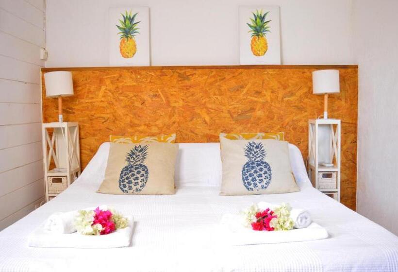 بانگلوی استاندارد, Brise Marine