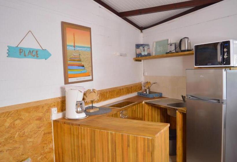 بانگلوی استاندارد, Brise Marine