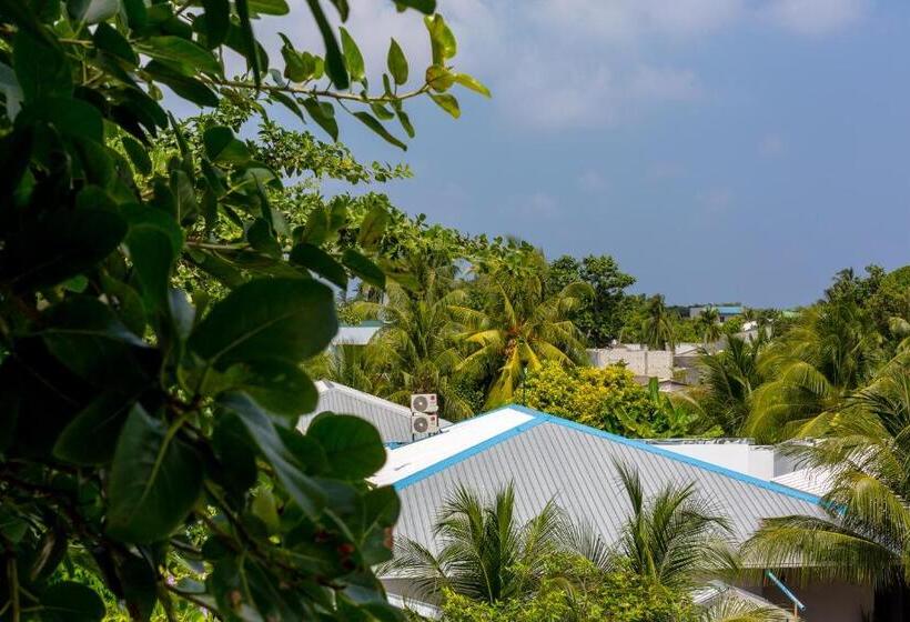 سوییت با چشم‌انداز باغ, West Sands