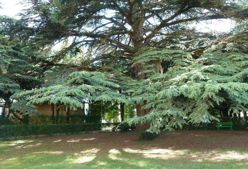 דירת שני חדרים, Borgo Villa Certano   Case Vacanza In Toscana