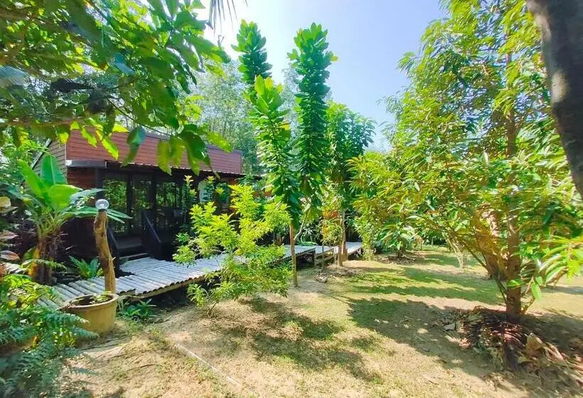 デラックスルーム, Kohmook Nurse House