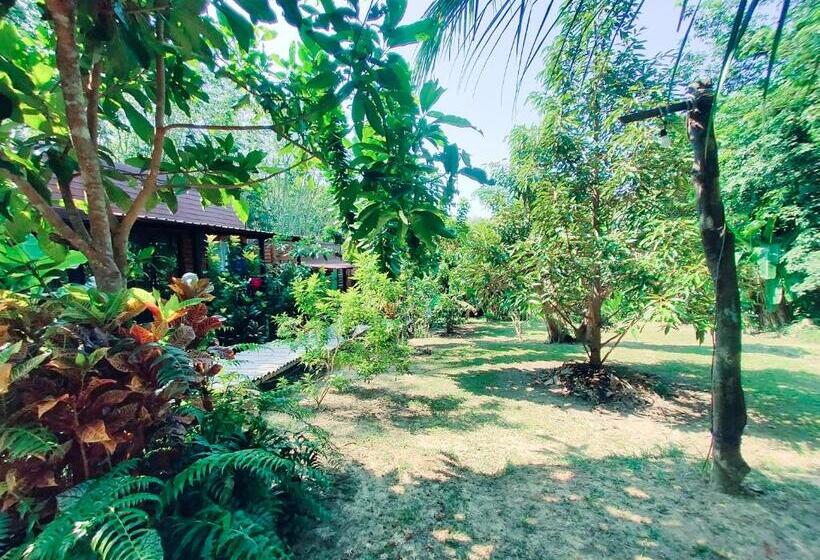 غرفة ديلوكس, Kohmook Nurse House