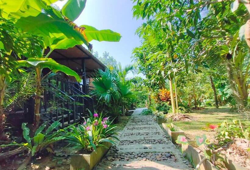 חדר דלוקס, Kohmook Nurse House