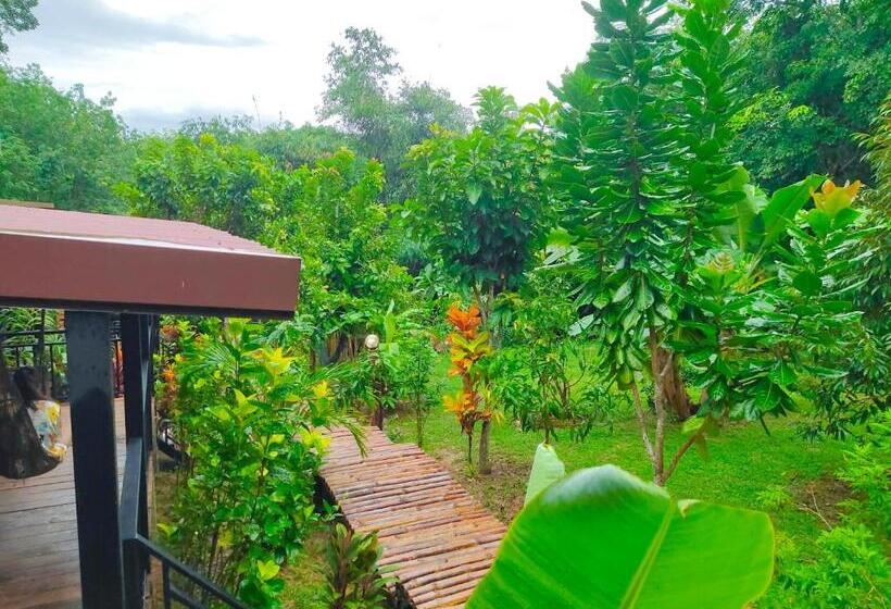 غرفة ديلوكس, Kohmook Nurse House