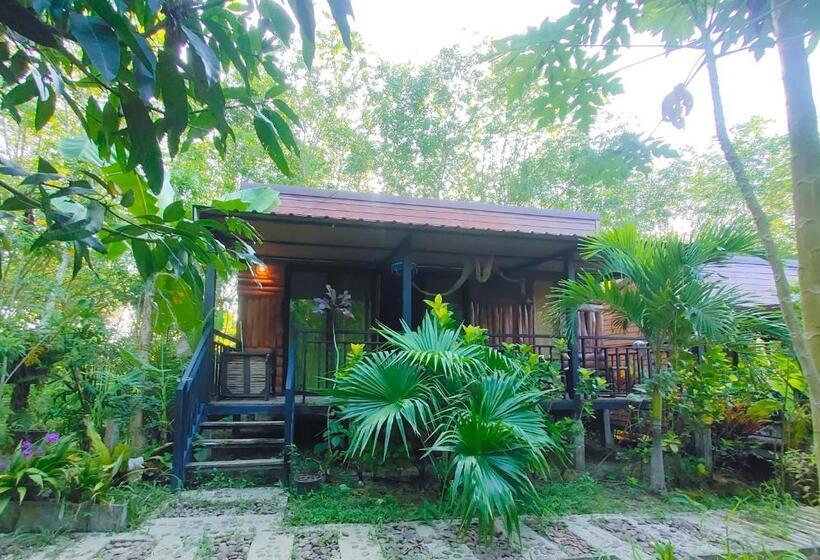 חדר דלוקס, Kohmook Nurse House