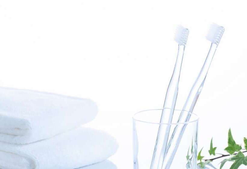 标准间, Comfort Hotel Ise