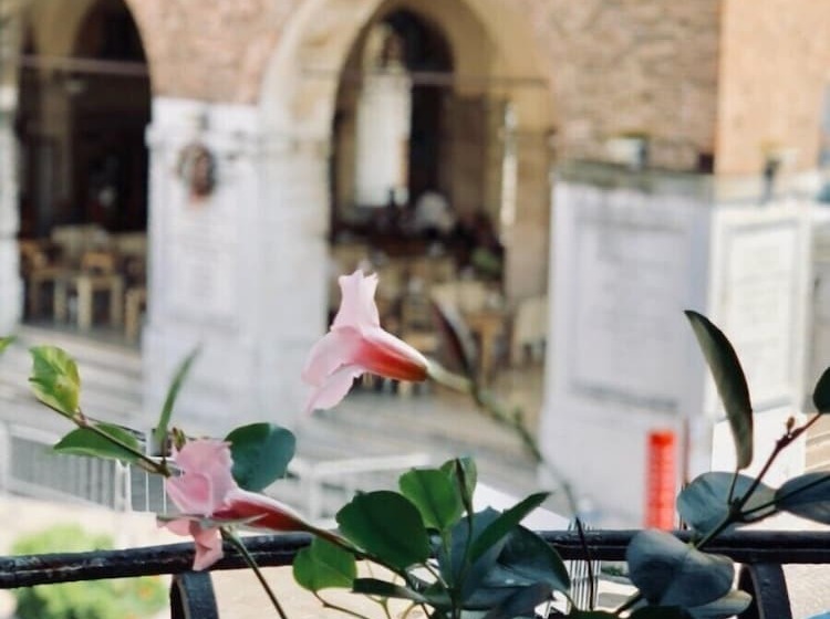 اتاق لوکس, Palazzina300