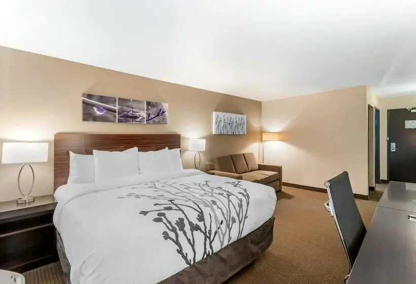 スイート, Sleep Inn & Suites Denver International Airport