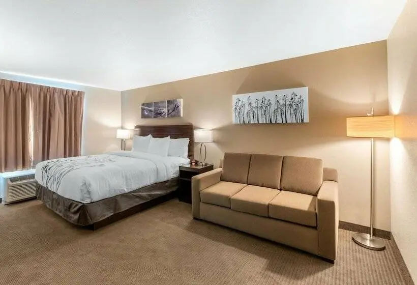 スイート, Sleep Inn & Suites Denver International Airport