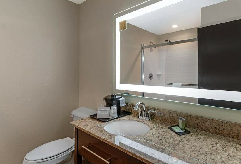 スイート, Sleep Inn & Suites Denver International Airport