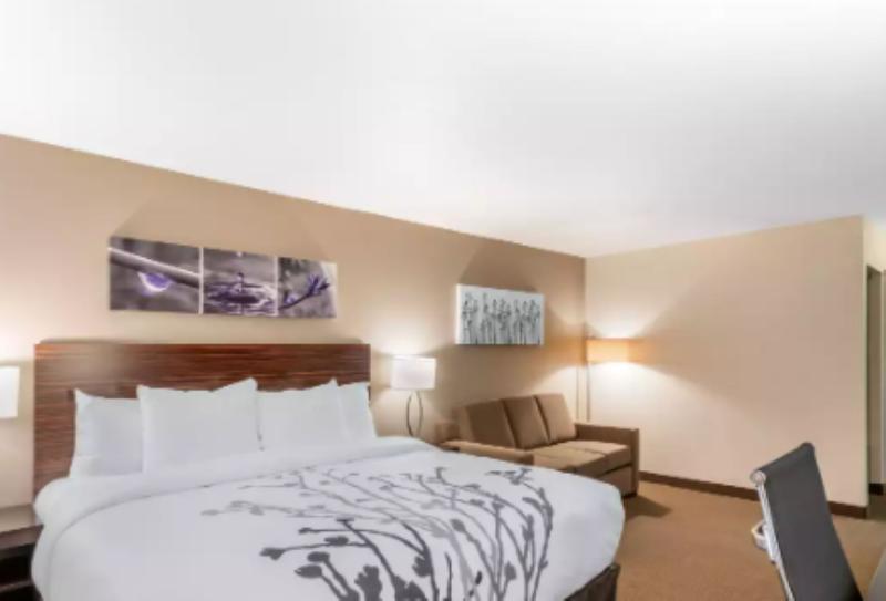 キングサイズベッドのスタンダードルーム, Sleep Inn & Suites Denver International Airport