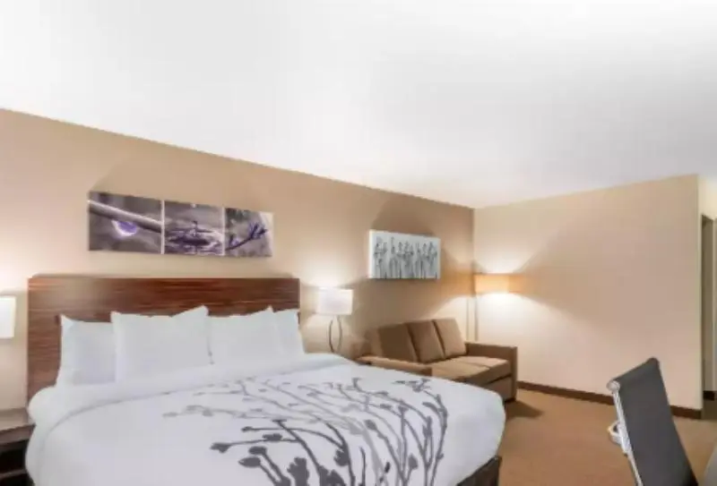 キングサイズベッドのスタンダードルーム, Sleep Inn & Suites Denver International Airport