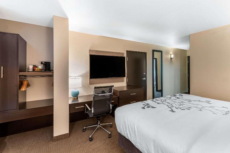 キングサイズベッドのスイートルーム, Sleep Inn & Suites Denver International Airport