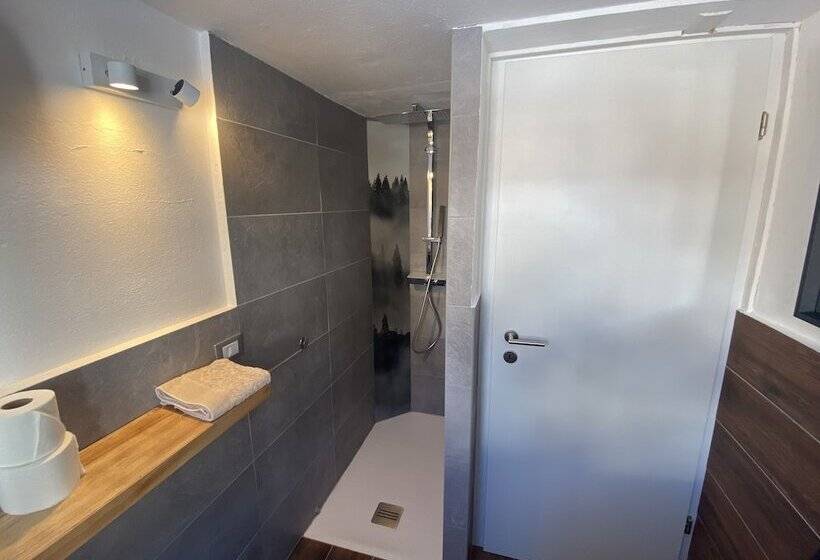 スタンダードルーム, Mountain Lodge Sedrun