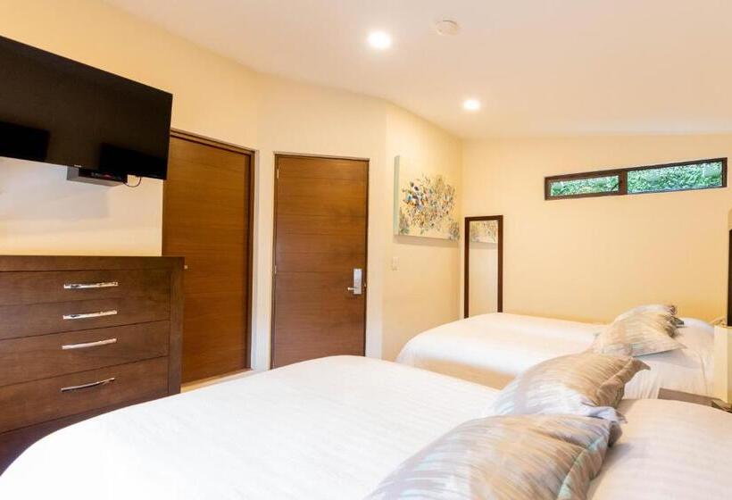 חדר משפחתי, Posada Xr