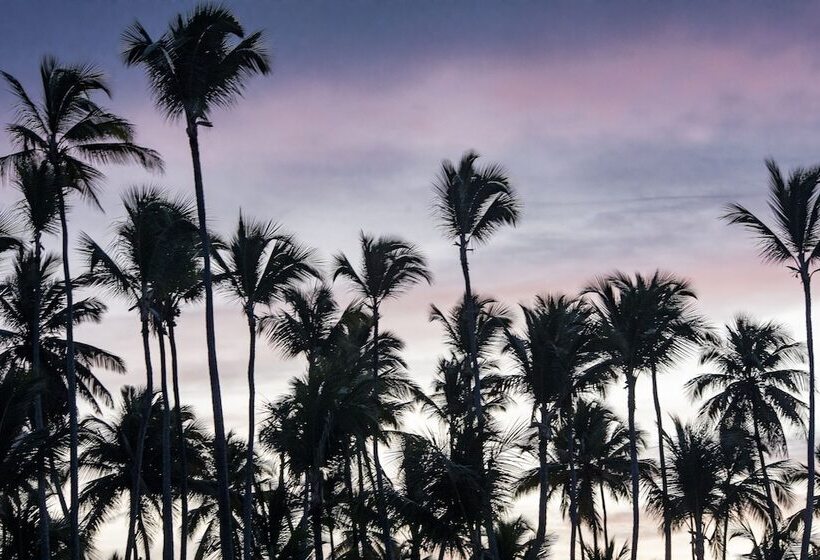 سوییت, Melia Caribe Beach Resort All Inclusive