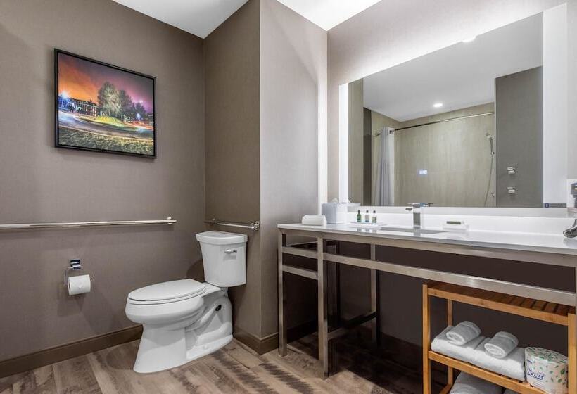 Suite Aangepast voor Gehandicapten, Cambria Hotel College Park