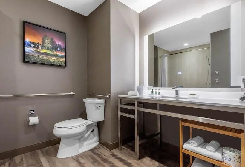 身障者適用スイートルーム, Cambria Hotel College Park