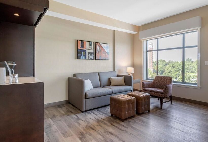 Suite Aangepast voor Gehandicapten, Cambria Hotel College Park