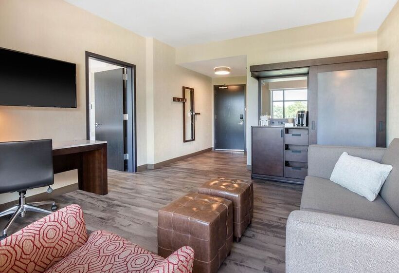 Suite Aangepast voor Gehandicapten, Cambria Hotel College Park