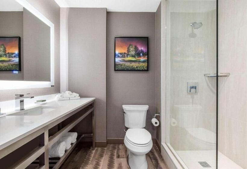 Standaardkamer met Kingsize Bed, Cambria Hotel College Park