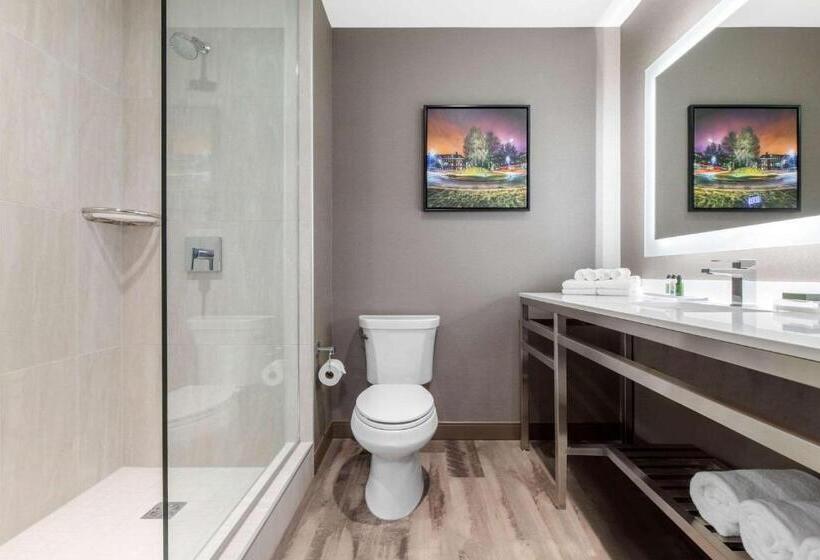 StandaardKamer, Cambria Hotel College Park