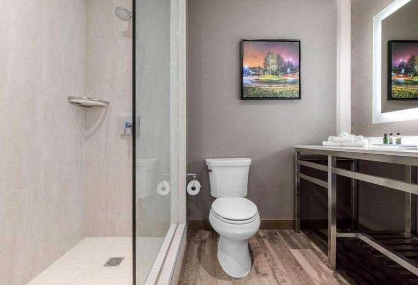 Suite met Kingsize Bed, Cambria Hotel College Park