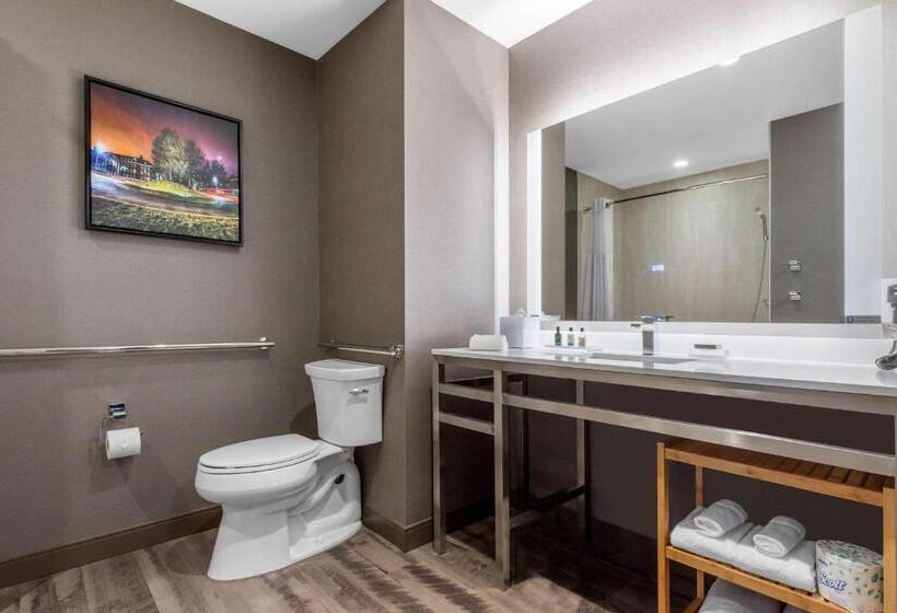 Standaardkamer Aangepast voor Gehandicapten, Cambria Hotel College Park