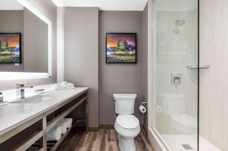 Standaardkamer met Kingsize Bed, Cambria Hotel College Park